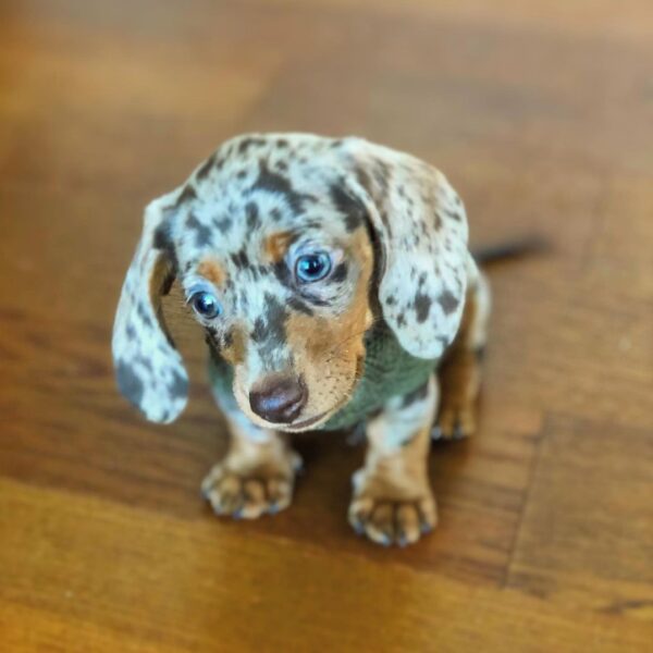 PEPPER-600x600